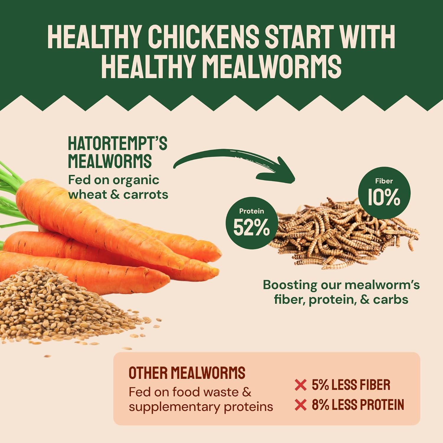 fueling Our⁢ Flock⁤ Naturally: High-Protein​ Mealworms That Deliver