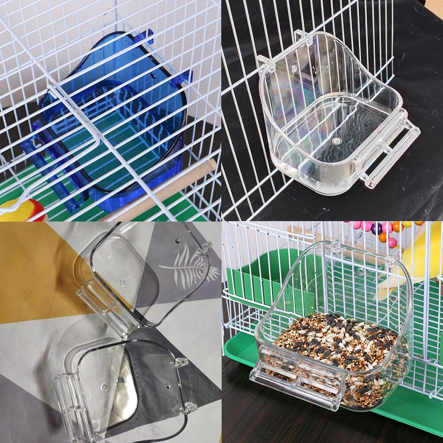 How Our Feathered Friends Enjoy a Safe, Splashy spa Day