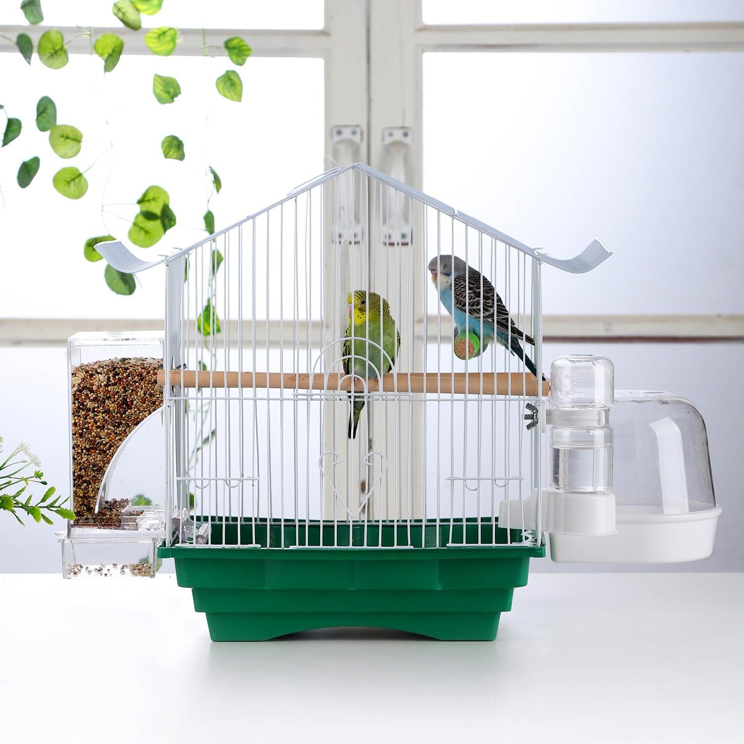 How This Mess-Free Bird Feeder ā£Simplified Our Parrot Care ā¢Routine