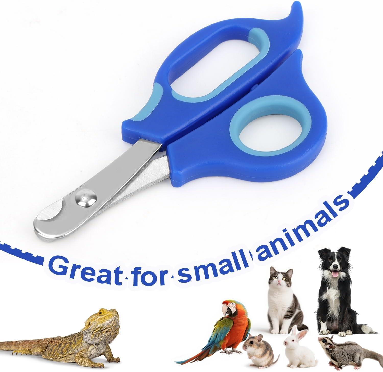 How‍ Our ⁤Blue Stainless Clippers Made Reptile Grooming Effortless