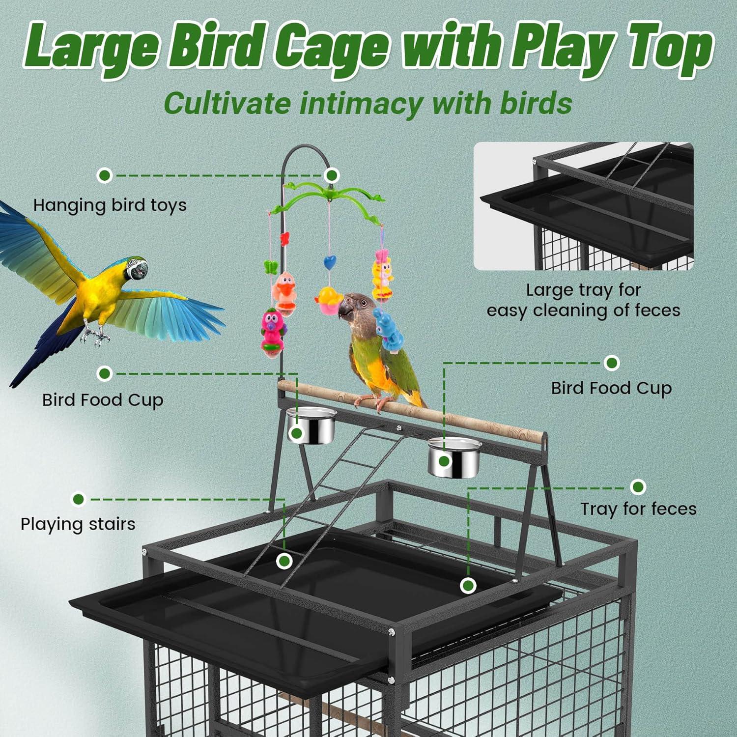 Why Our Feathered Friends Thrive in BOINN’s Spacious Flight Cage