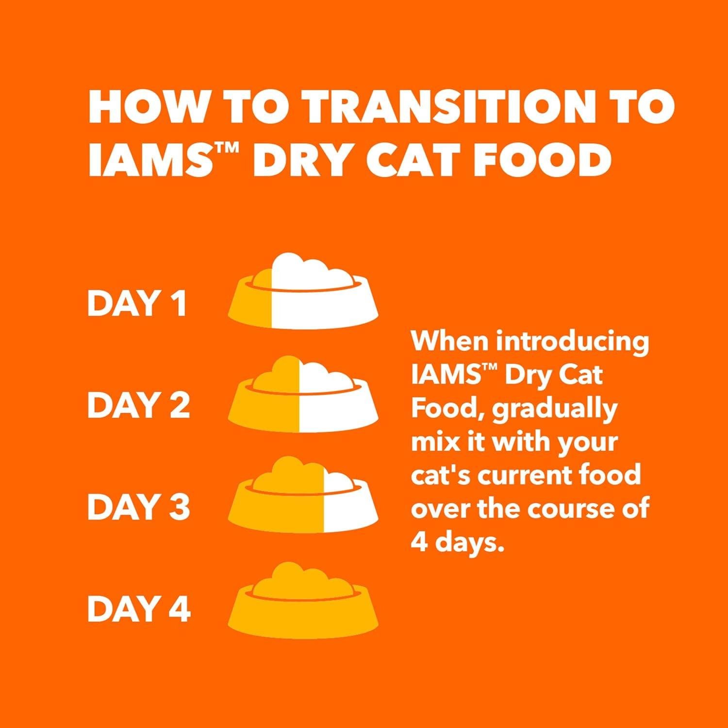 How Our Kittens Thrive with IAMS’ Balanced Chicken Nutrition