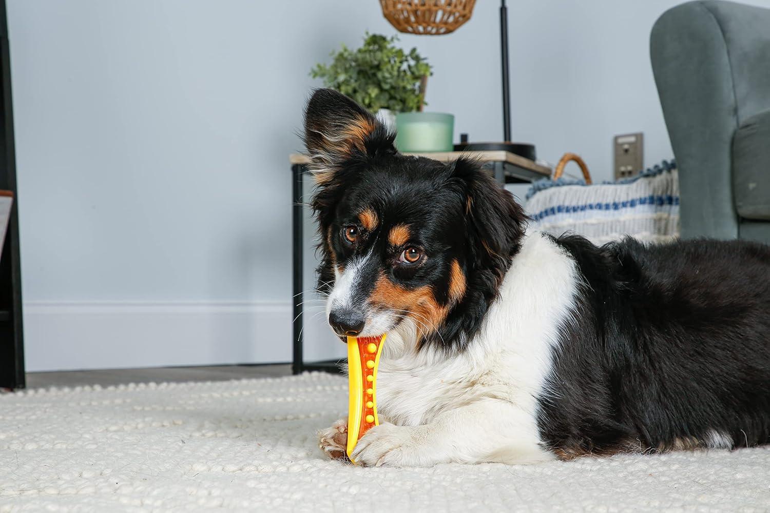 How Our Puppy's Teething Pain Faded with Tasty Chew Toys