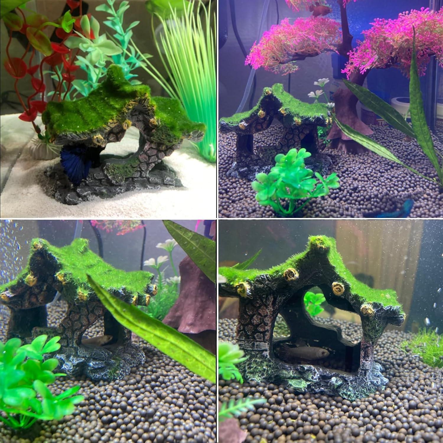 How Our Kittens Stay Happy and Healthy with Potaroma Chew Ropes