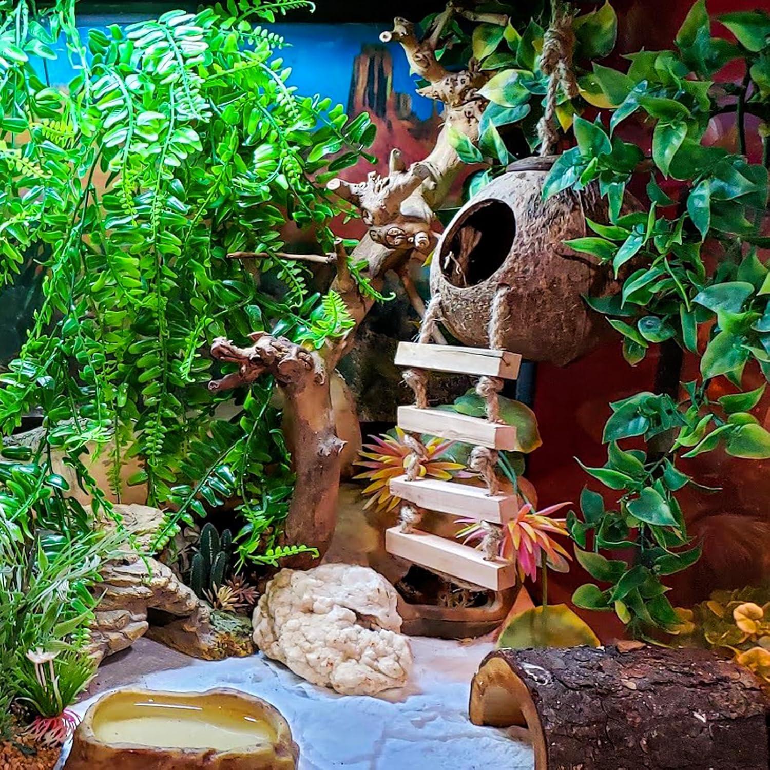 How We Created a Lush, Safe Habitat for Our Reptiles with HERCOCCI