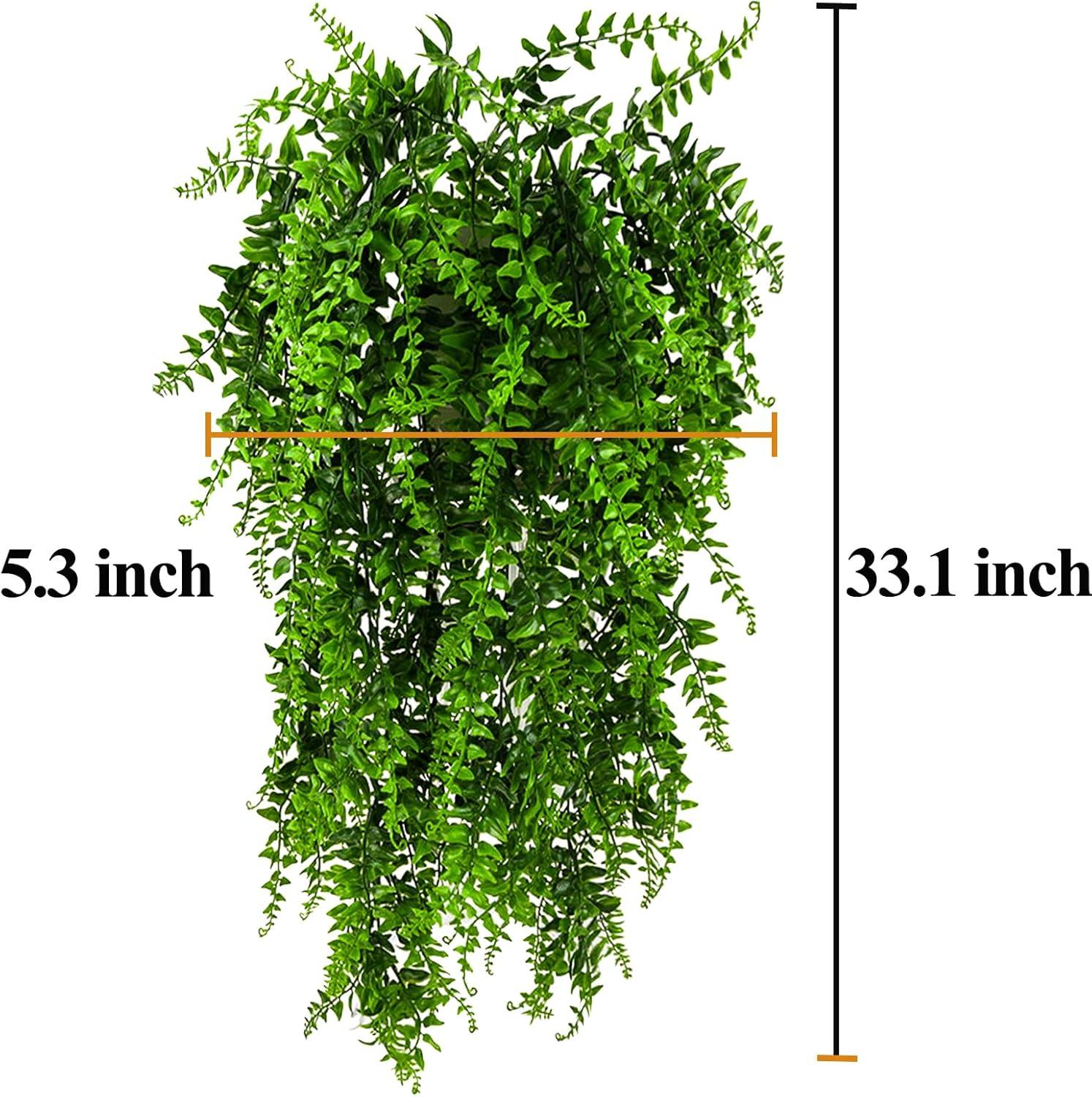 How We Created a Lush, Safe Habitat for Our Reptiles with HERCOCCI