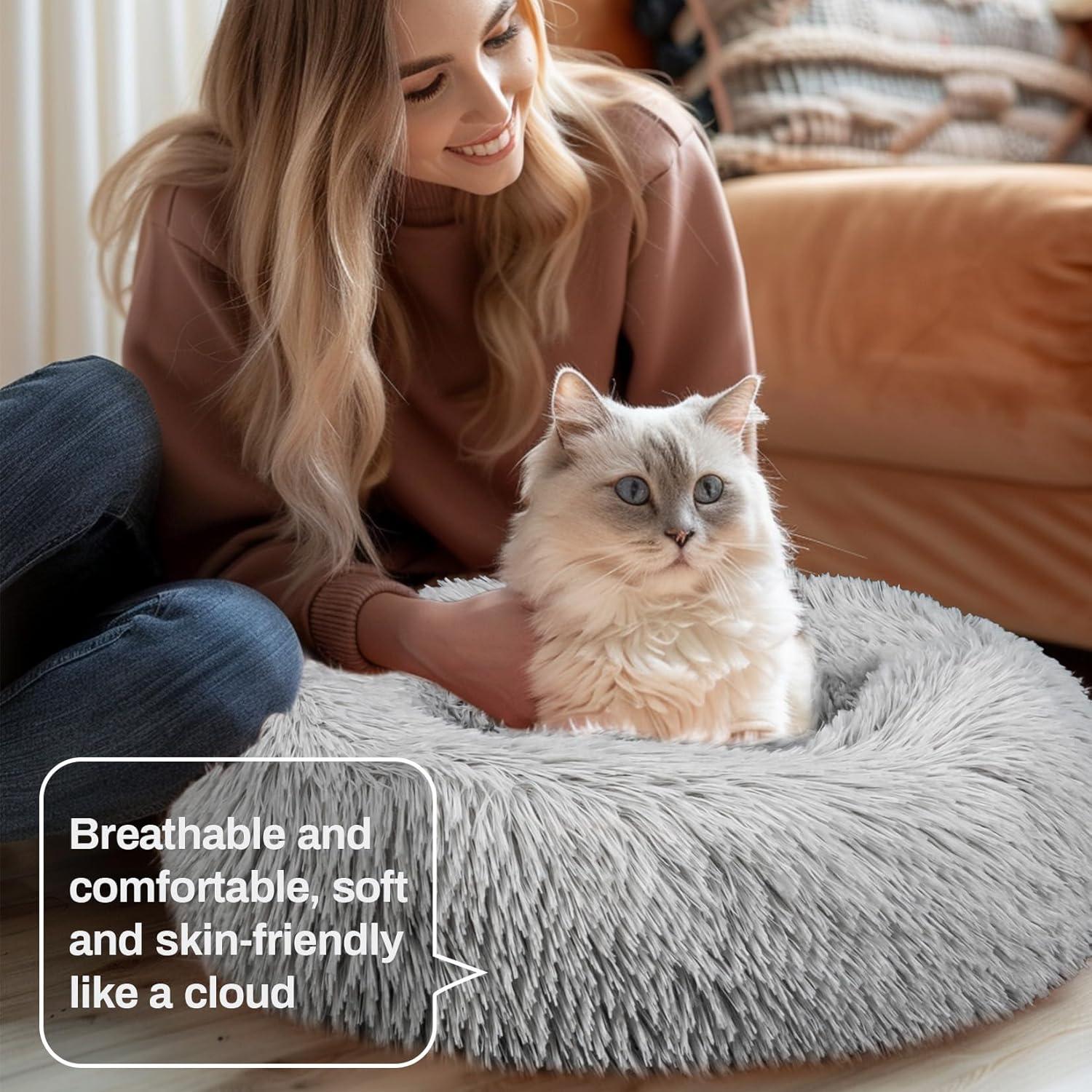 Why Our Kittens Love This Cozy, Non-Slip Donut Bed