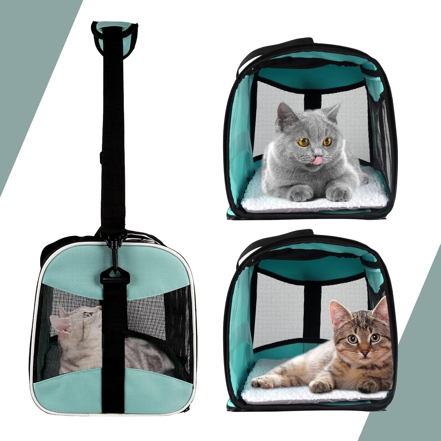 Why We‌ Trust This Cozy carrier for Our Small Traveling Pets