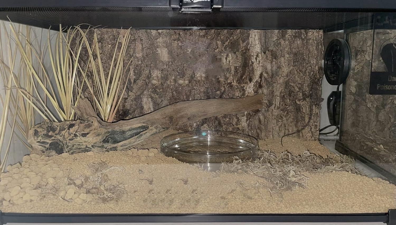 How ​We Bring the Desert Home: Easy, Lifelike Terrarium Grass