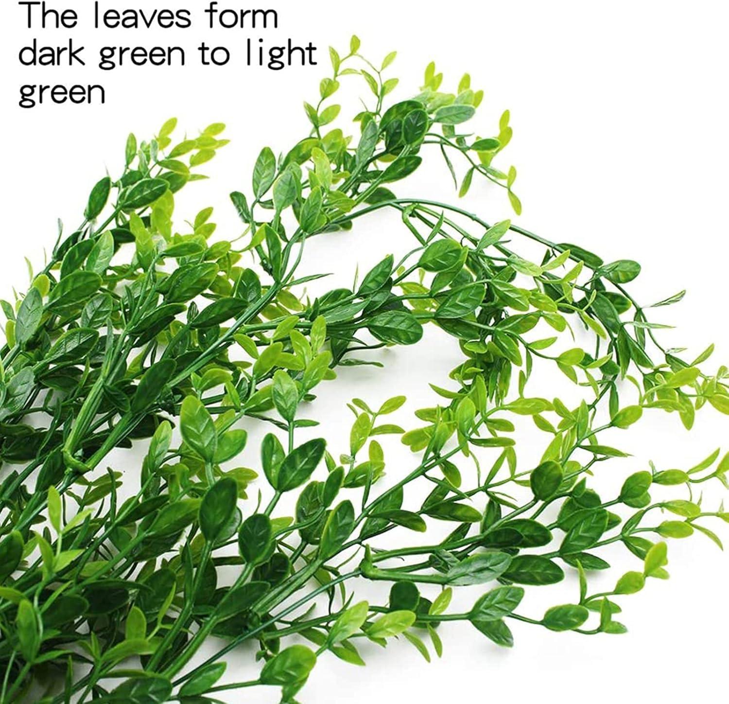 How We Created a Lush, Safe Habitat for Our Reptiles with HERCOCCI