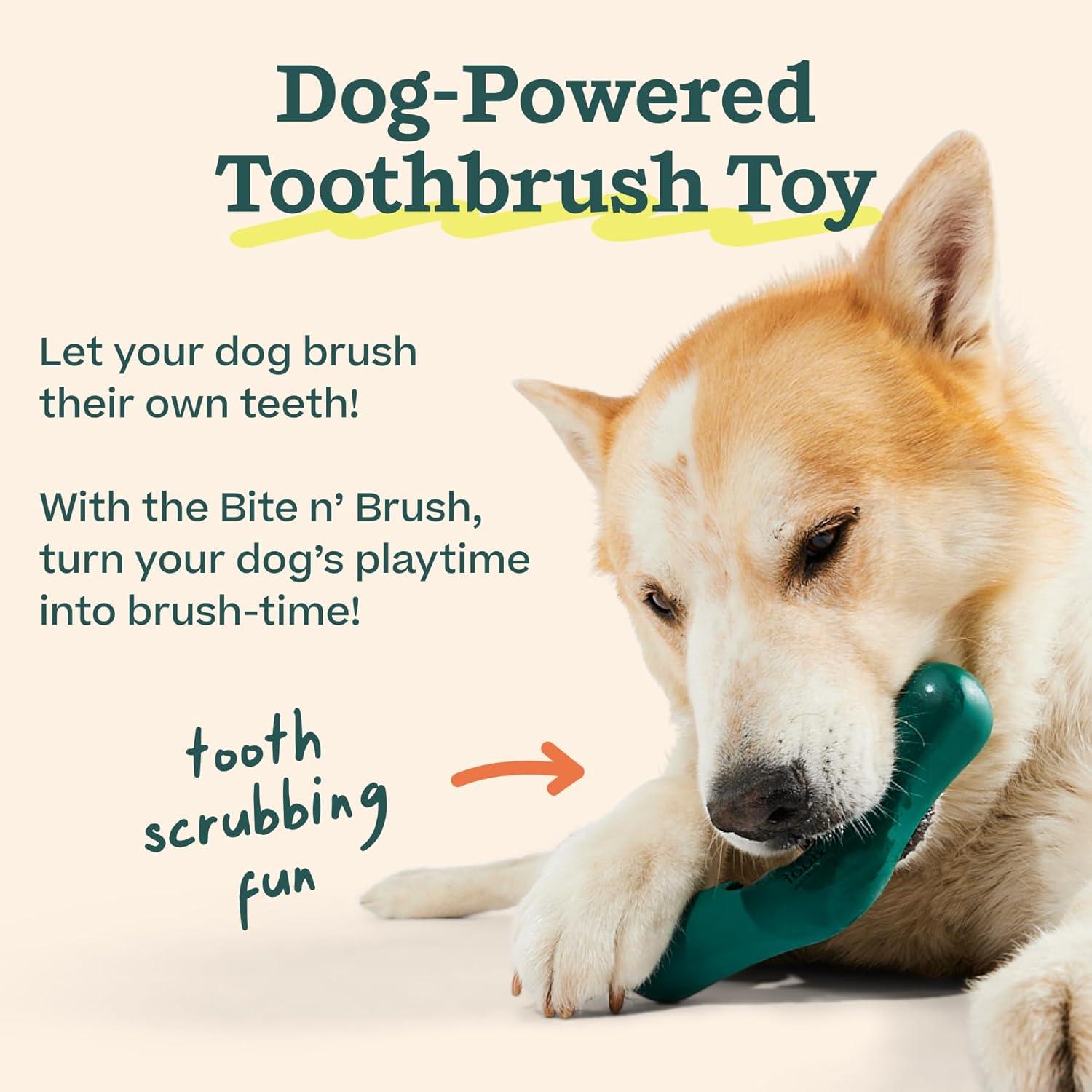 How Our Dogs’ Teeth Stay Sparkling With Easy Chew Refills