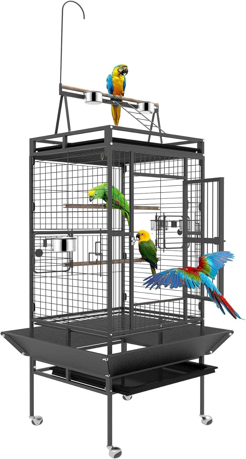 Why‌ Our Feathered Friends Thrive in BOINN’s‌ Spacious Flight Cage