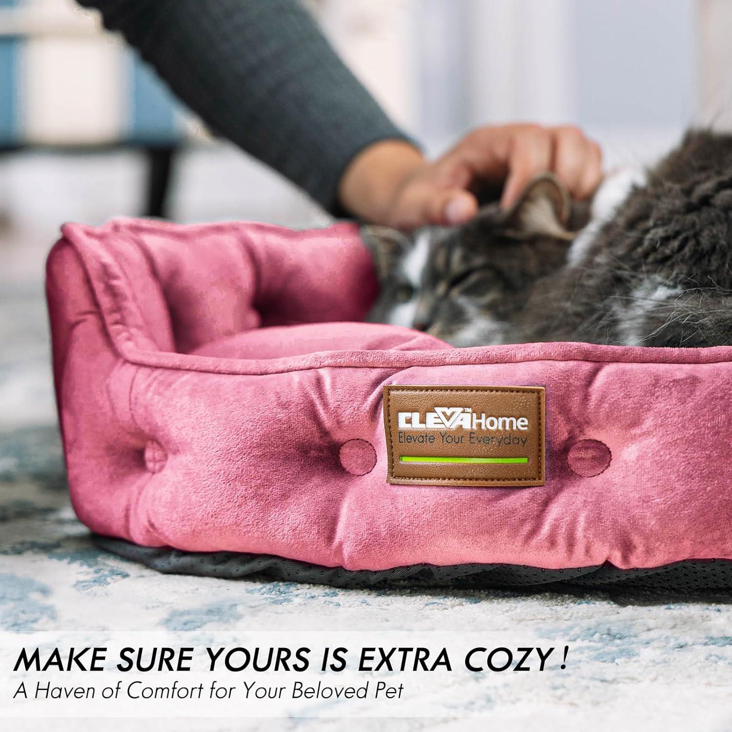 Why Our Small Pets Love this‌ Cozy, Easy-Clean Plush Bed