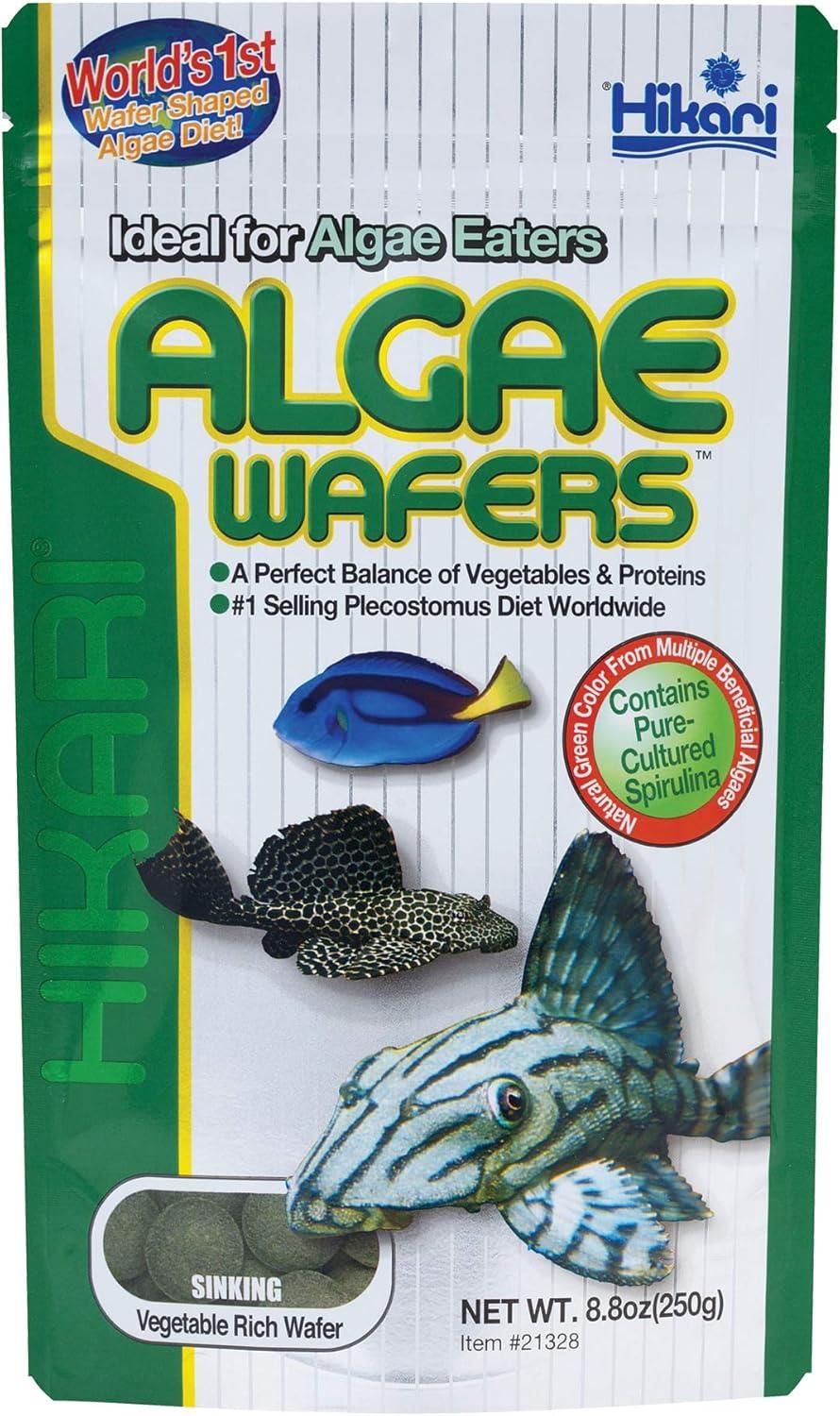 The Tropical Algae Wafer That Keeps Our Fish Healthy and Happy