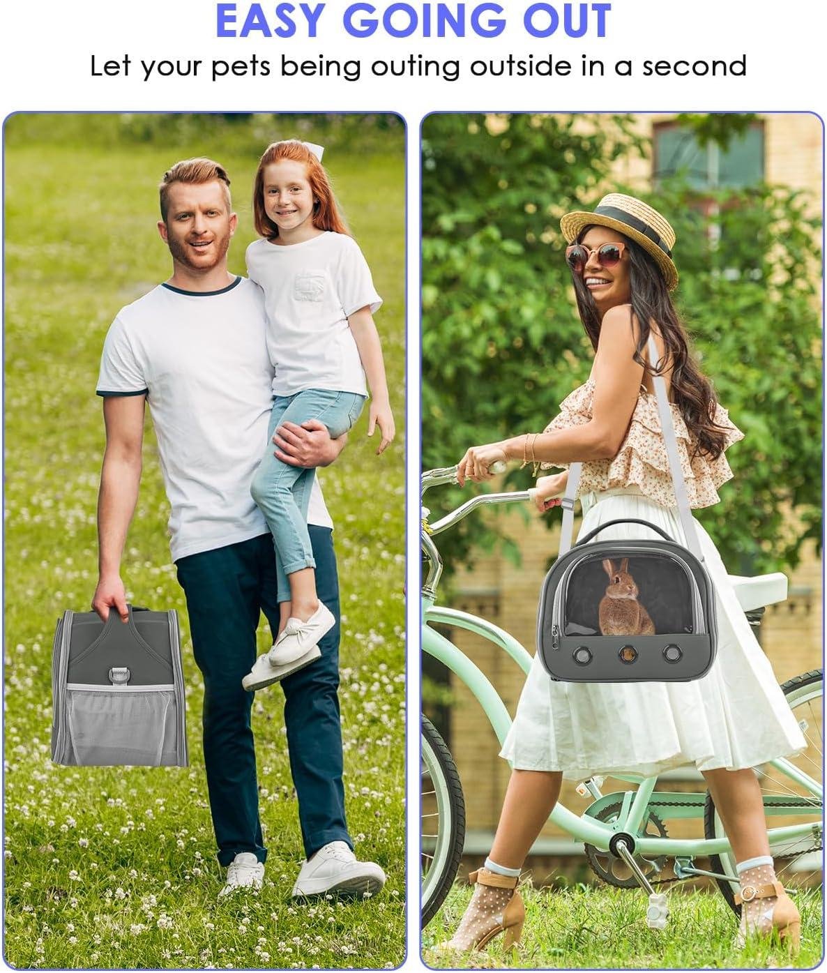 Keeping Our Small pets Safe‍ and comfy⁤ on ⁢Every Outing