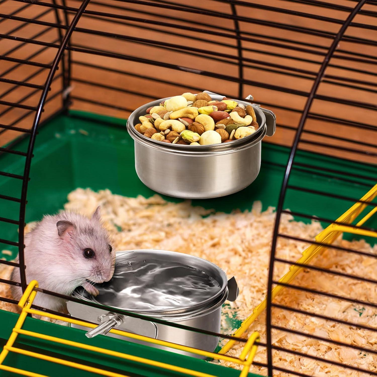 The Bird Bowls ​That Keep Our Small Pets Fed and Mess-Free