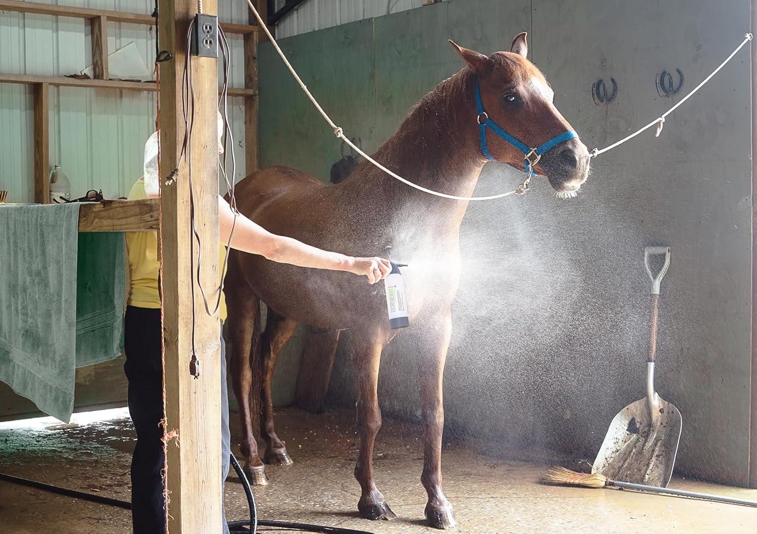 why Our Horse Care Routine Improved with This Ultra-Fine ⁣Mister