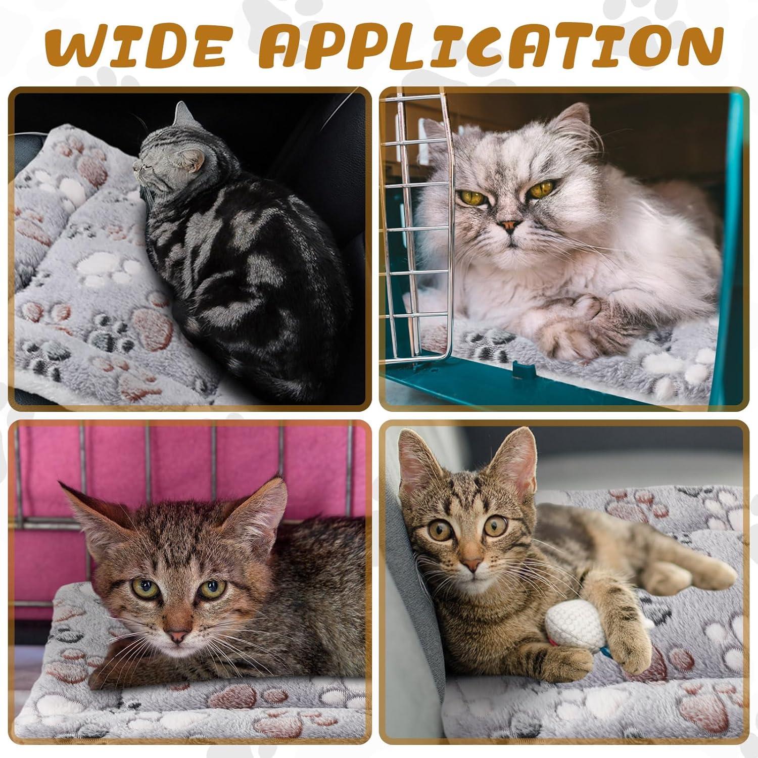 How Our Pets ā¢Foundā Comfort āin These ā¢Cozy, Cute Small Beds