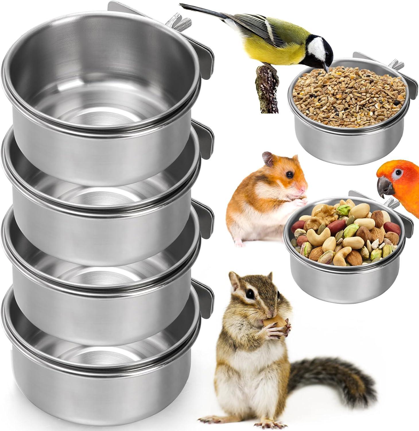 The Bird Bowls​ That Keep Our Small Pets Fed and Mess-Free