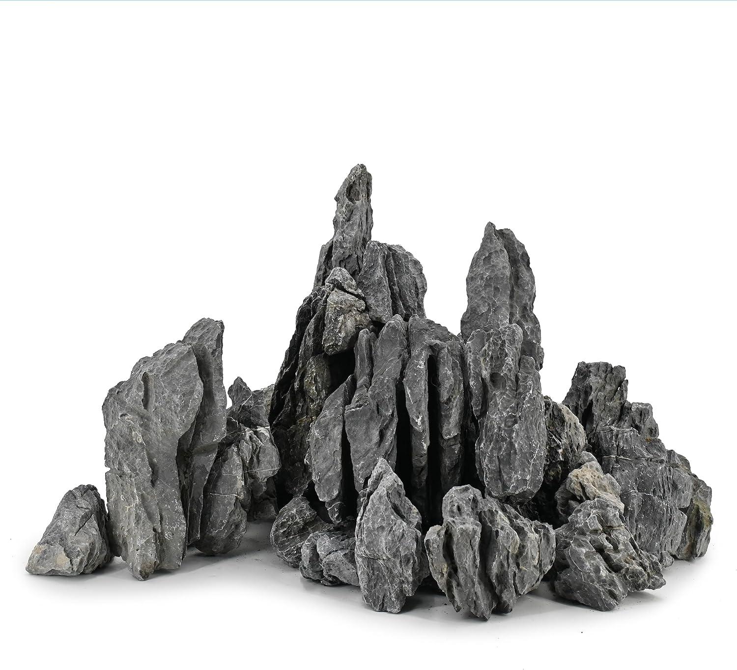 How these Natural Rocks Transformed ​Our Aquarium’s Ecosystem