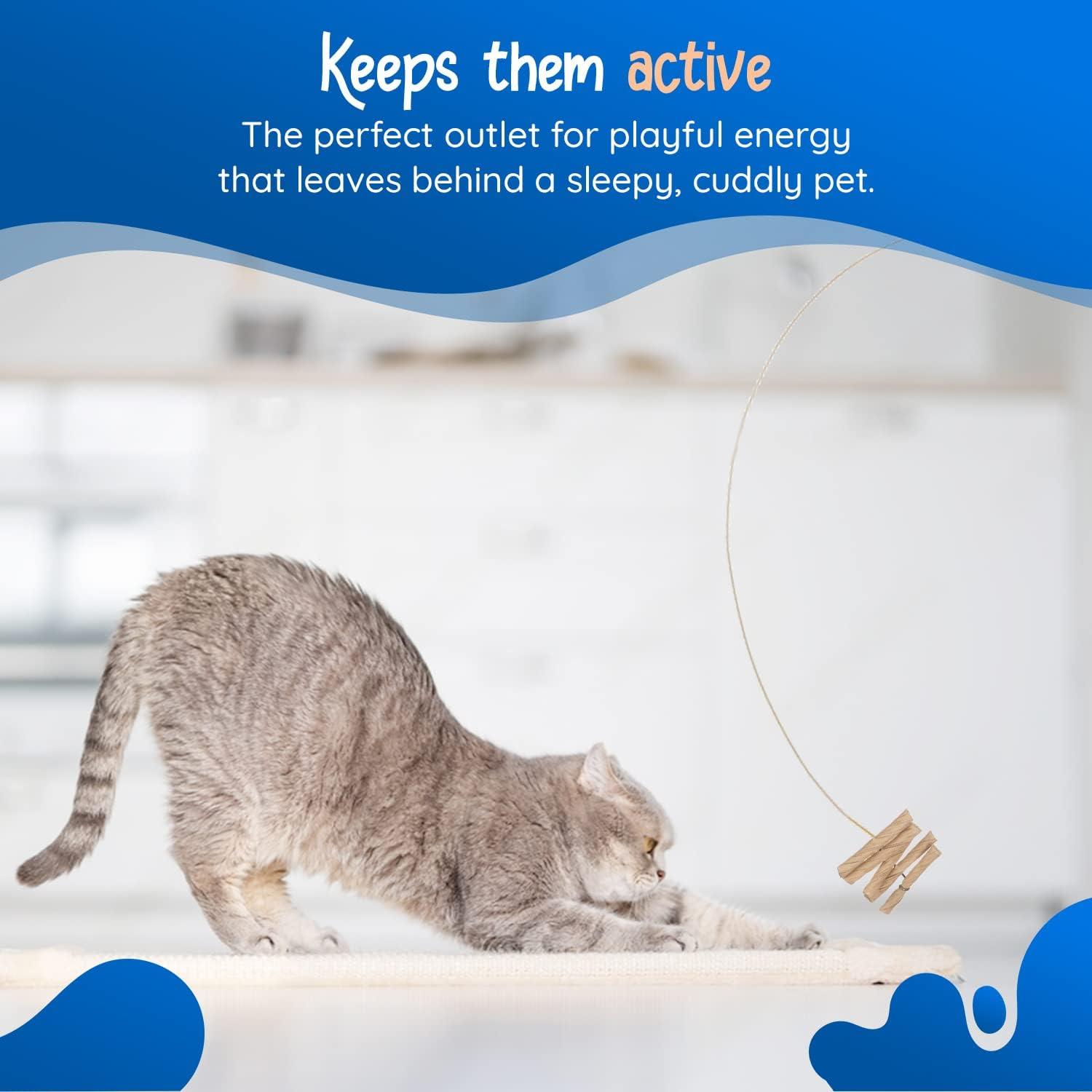 How We rekindled Playtime Joy with This Timeless Cat Toy