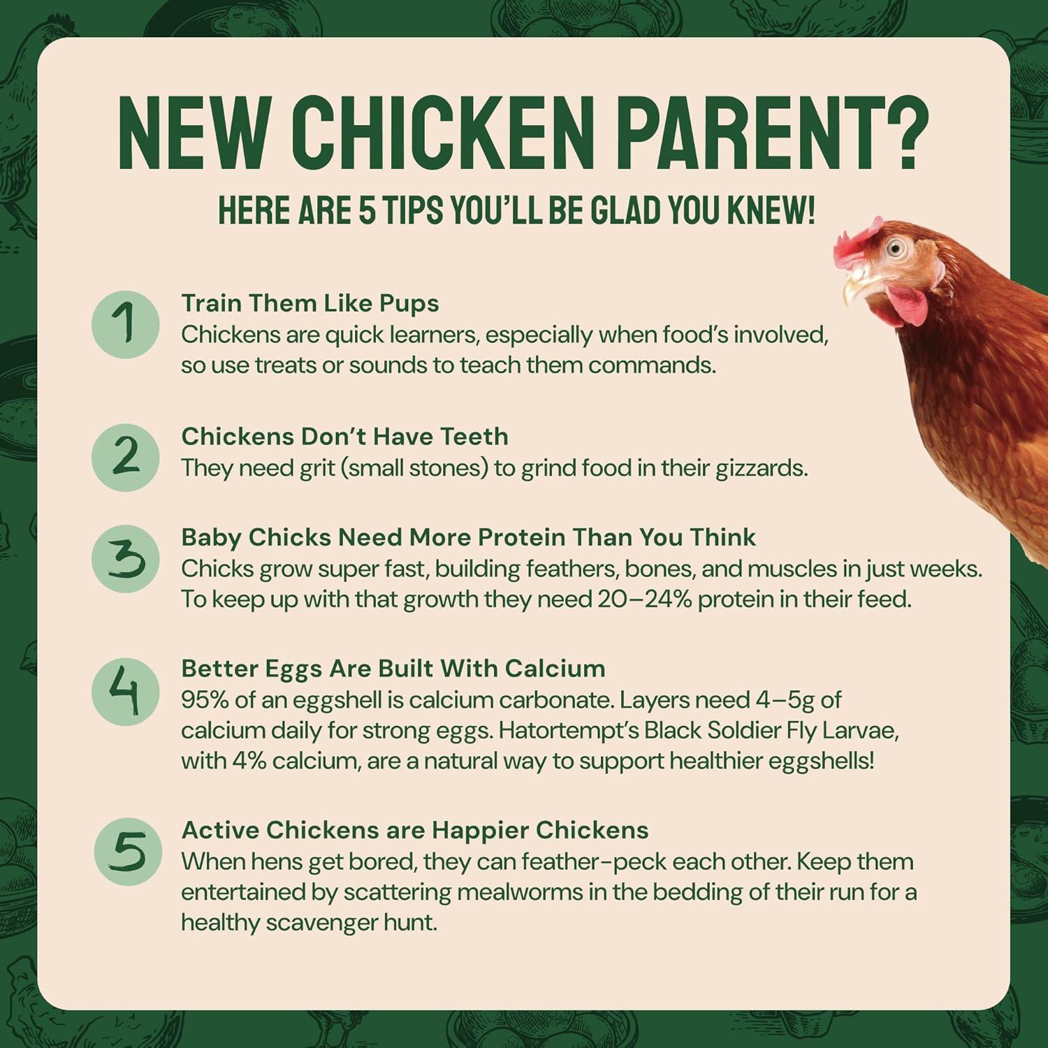 Fueling ⁤Our flock Naturally: High-Protein Mealworms​ That Deliver