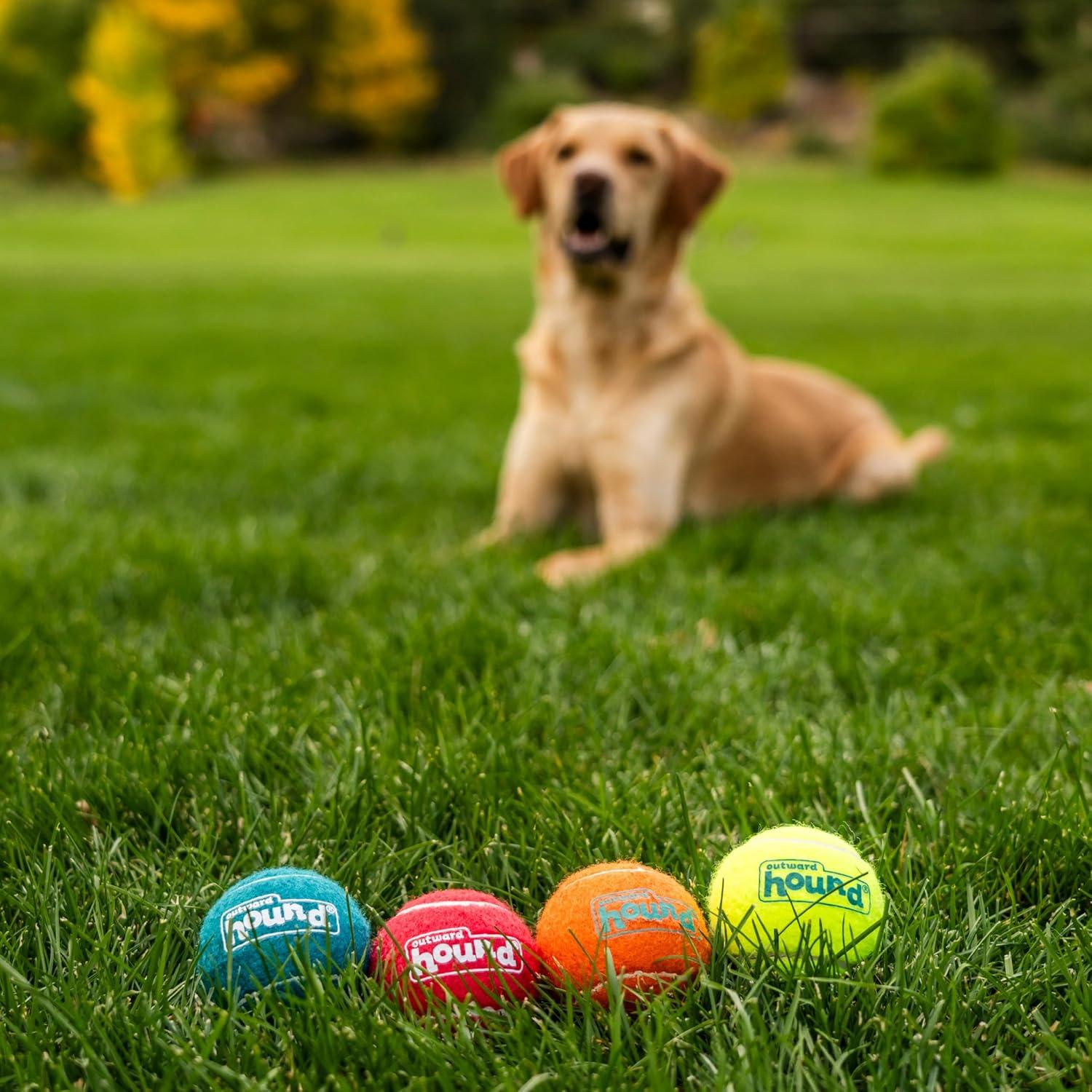 Why Our⁣ dogs Can’t Get Enough of These Bouncy ⁢Squeaky Balls