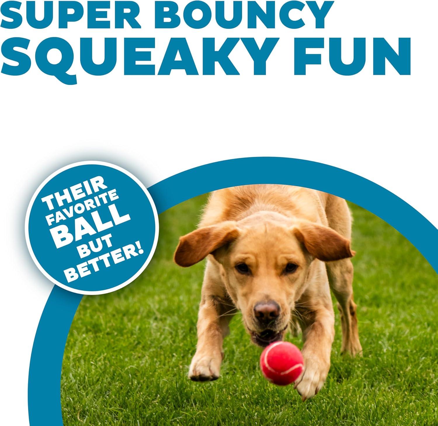 Why Our Dogs Can’t Get enough of ‌These Bouncy Squeaky Balls