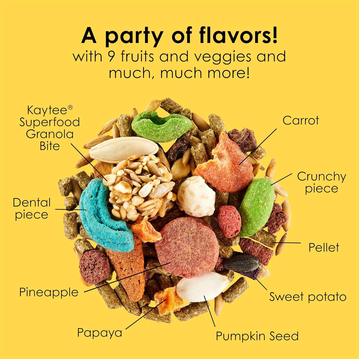 Why Kaytee Fiesta Turns Every Bunny’s Meal into a Celebration