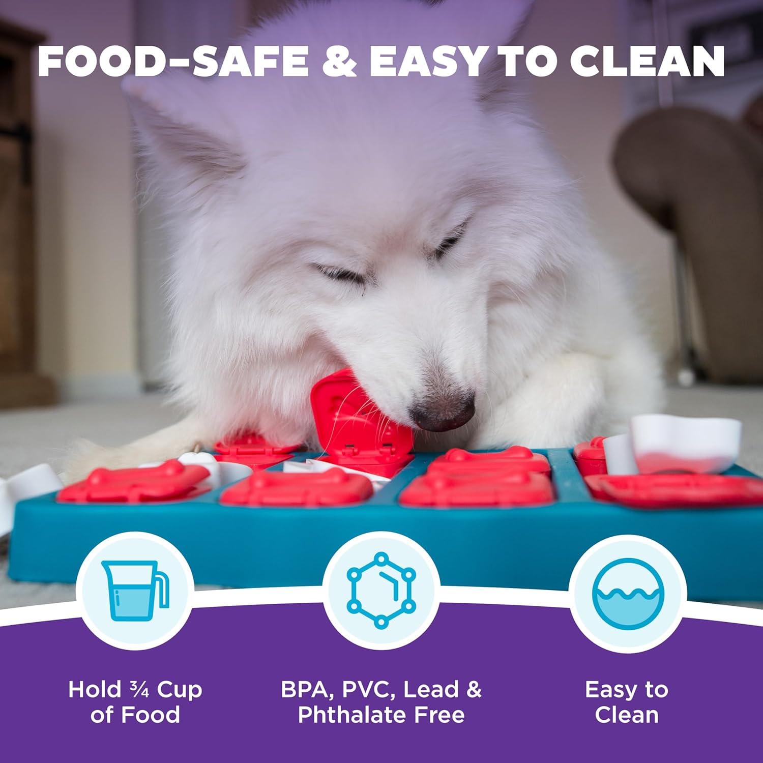 Keeping our Dogs Sharp: The Interactive Puzzle That Turns Treats Into Brain Games