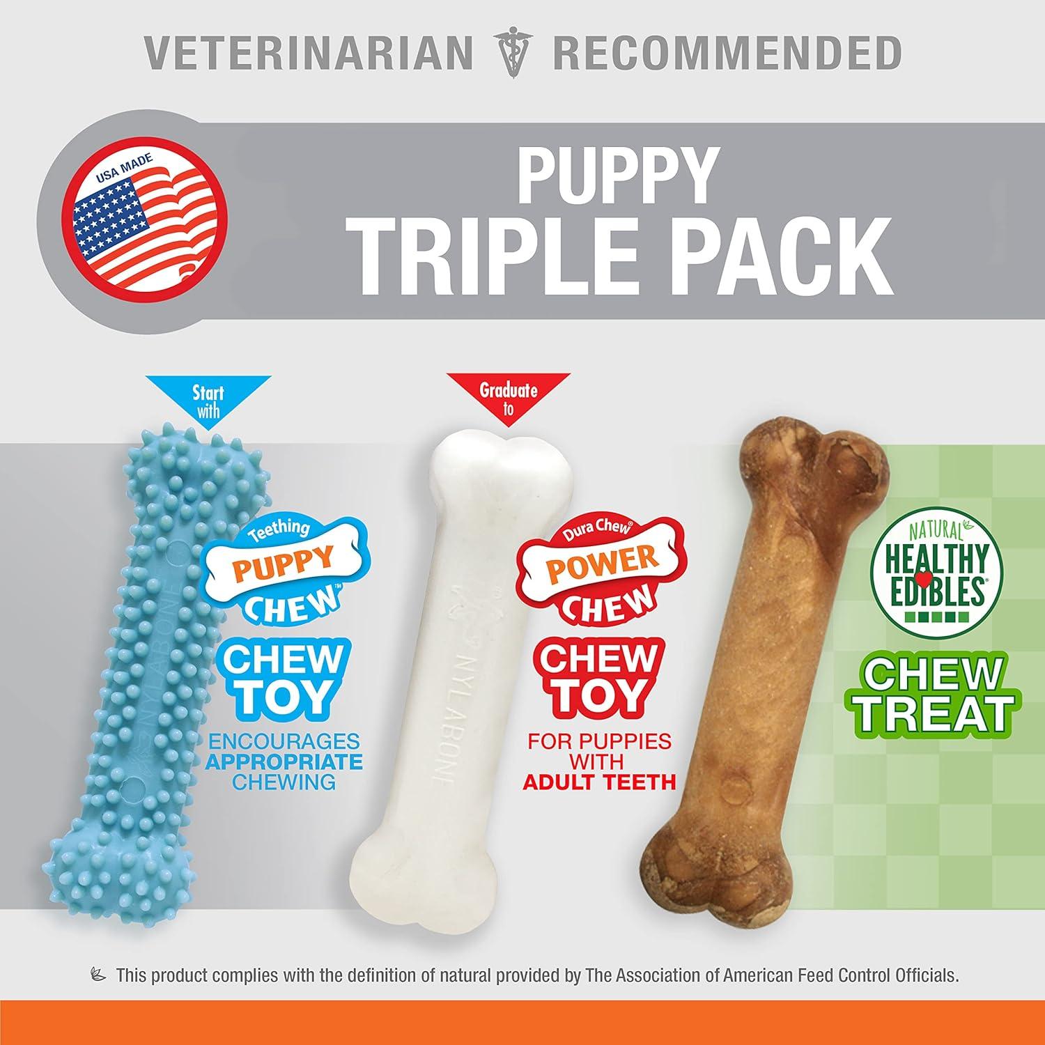 How Our puppy's Teething Pain Faded with Tasty chew Toys