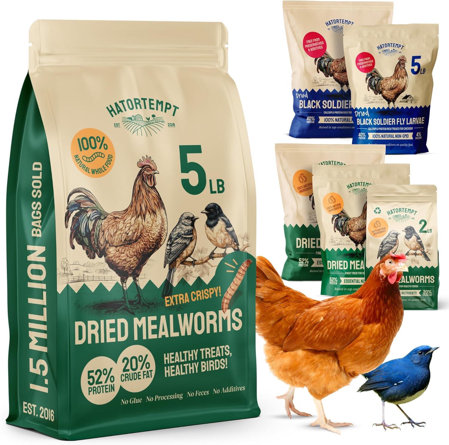 Fueling⁢ Our Flock Naturally:‍ High-Protein Mealworms That Deliver
