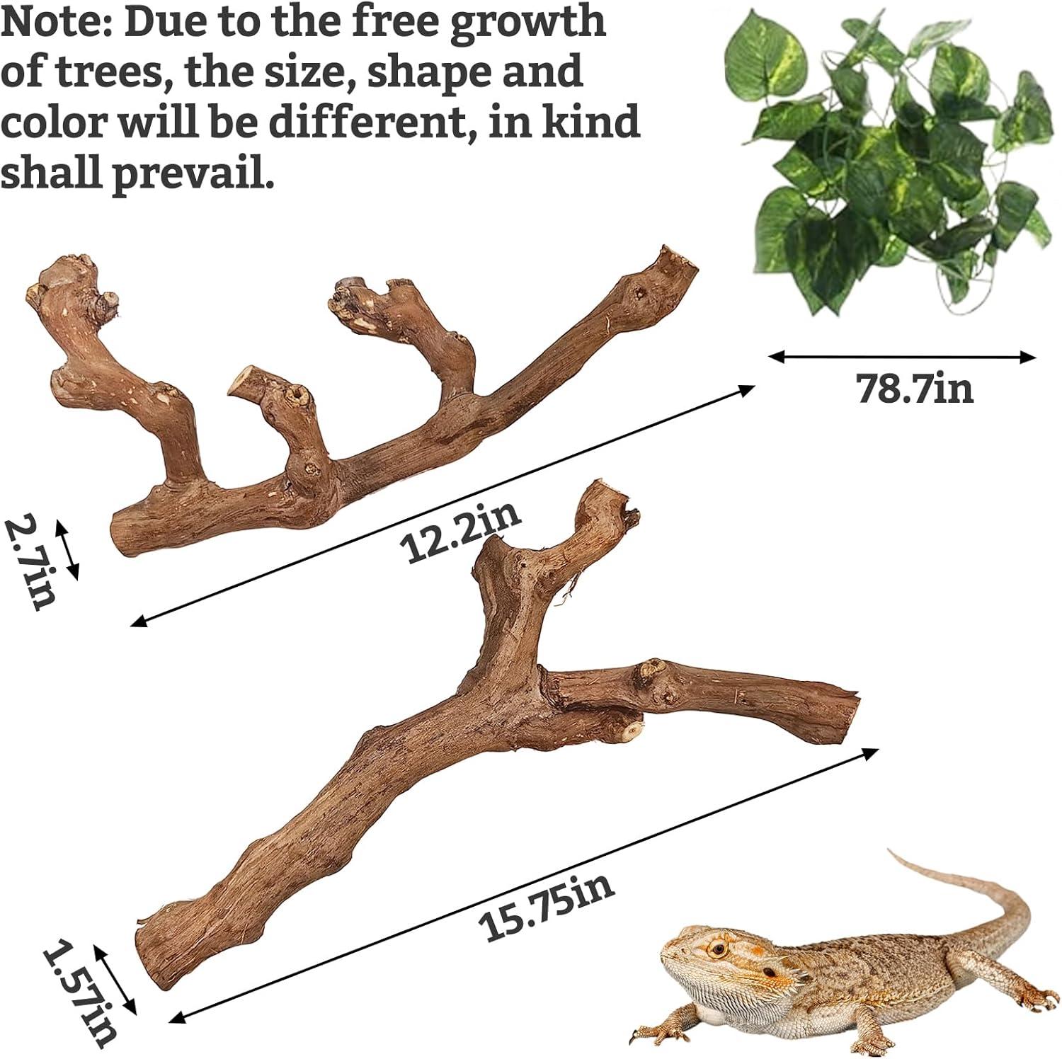how ⁢Our Pets Thrived with These Natural Climbing Branches