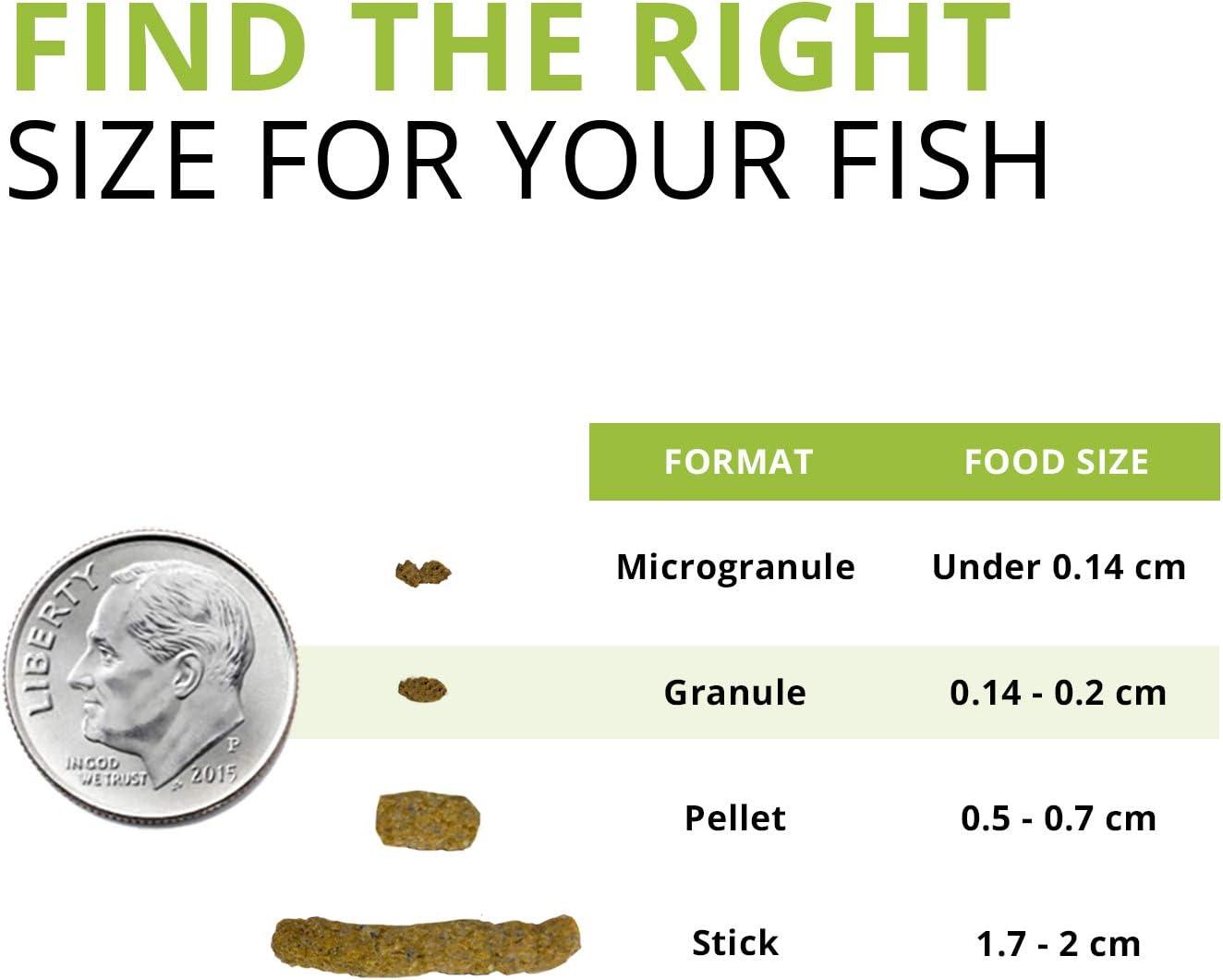 How Our Bottom Feeders Thrived on this Protein-Packed Insect Diet