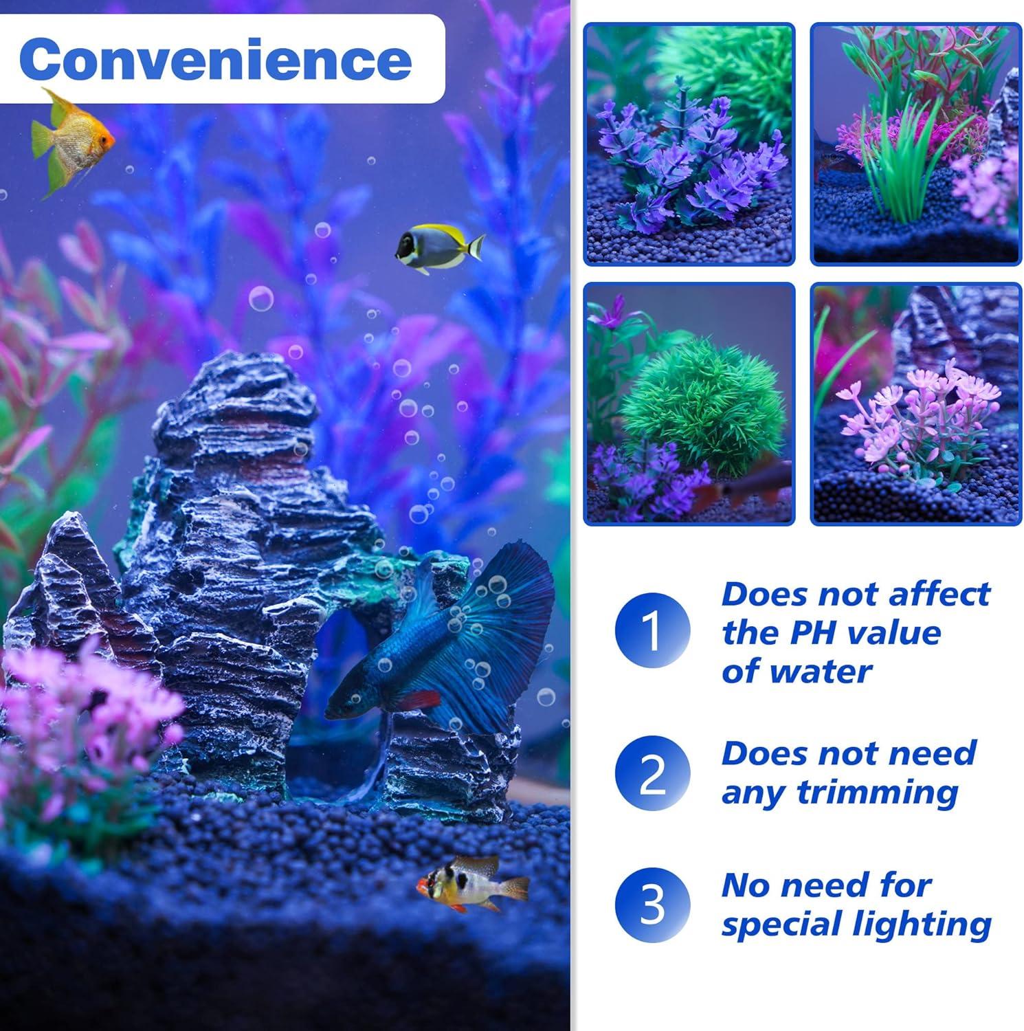 How We Transformed Our Tank⁣ Into a Lively Underwater Haven