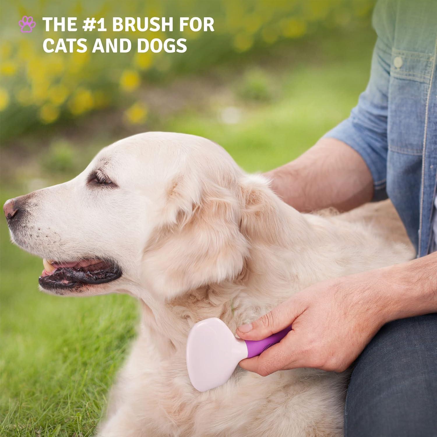 The Slicker Brush That Keeps Our Pets Tangle-Free and Comfortable