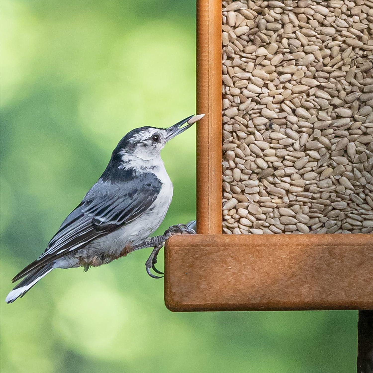 How We Cut Backyard Birdseed Mess with Morning Song’s Shell-Free ‍Mix