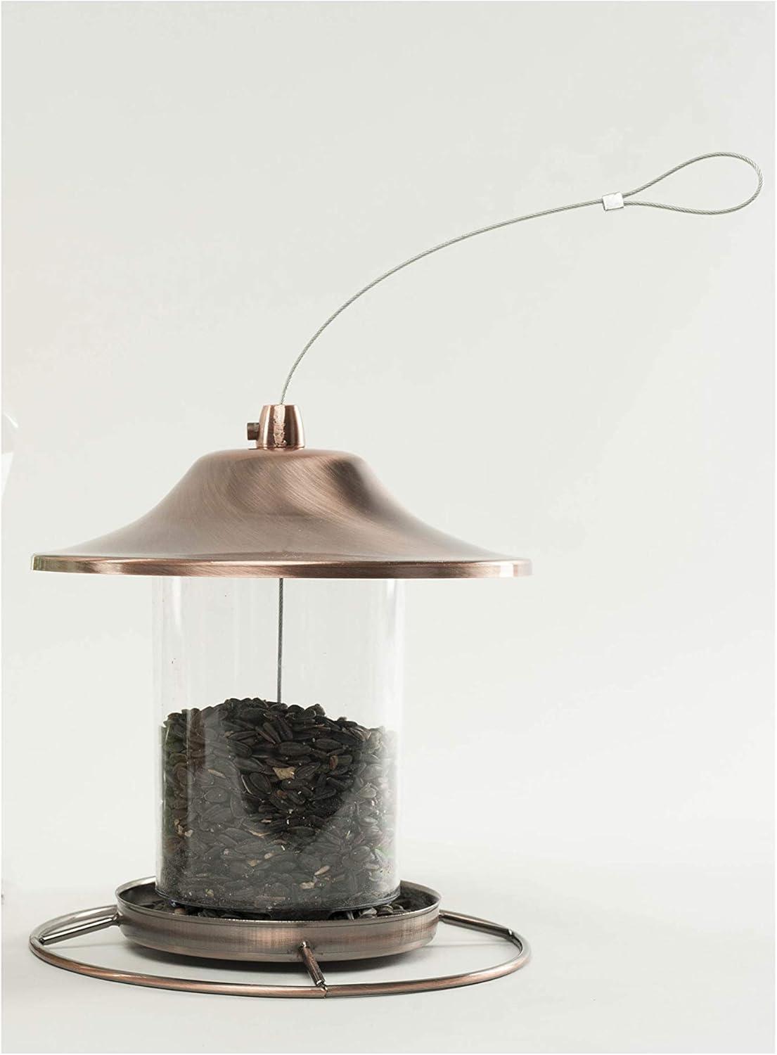 Why⁢ Our Backyard Birds Flock to This ⁤High-Energy Snack