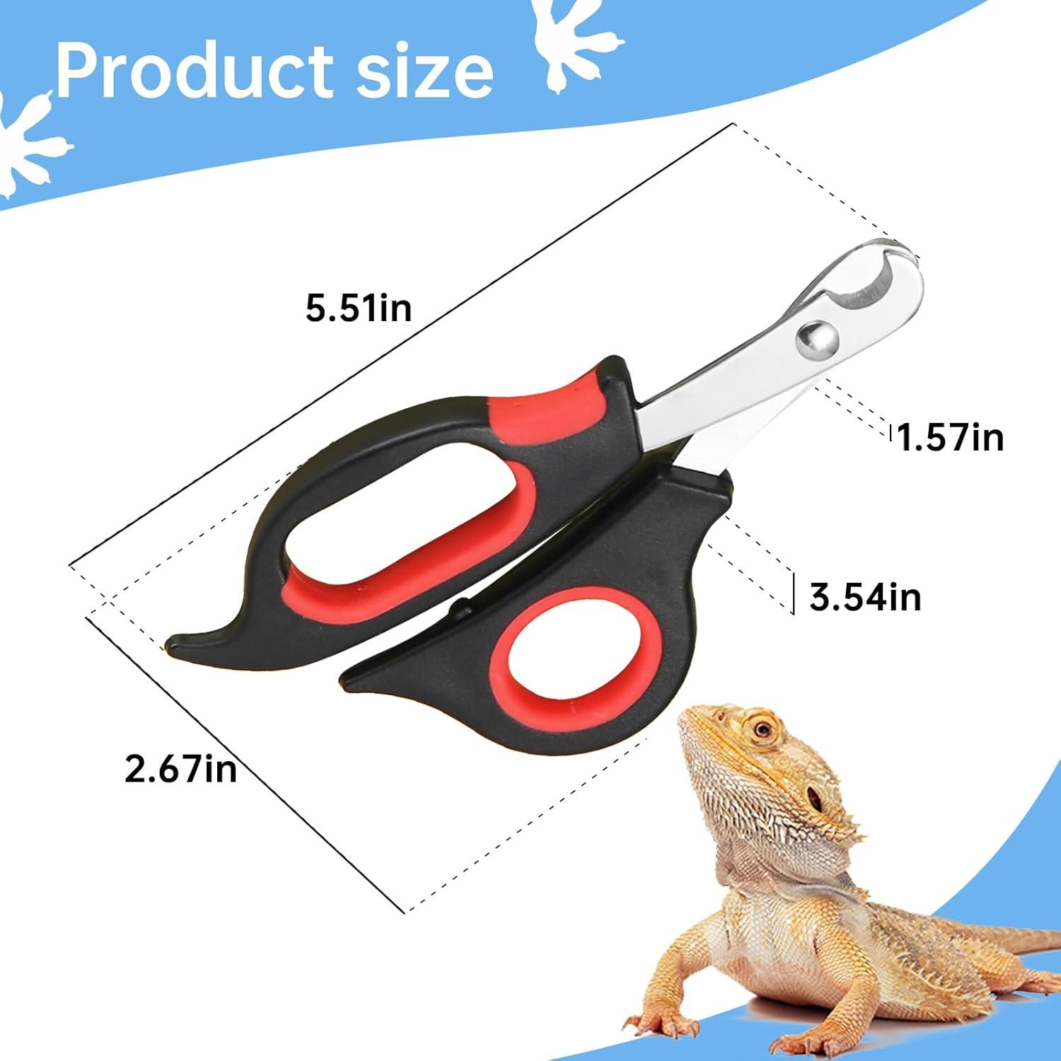 The Perfect Trim: ⁢How We Keep Our ⁣Bearded Dragons’ Nails Safe‍ & ⁤Smooth