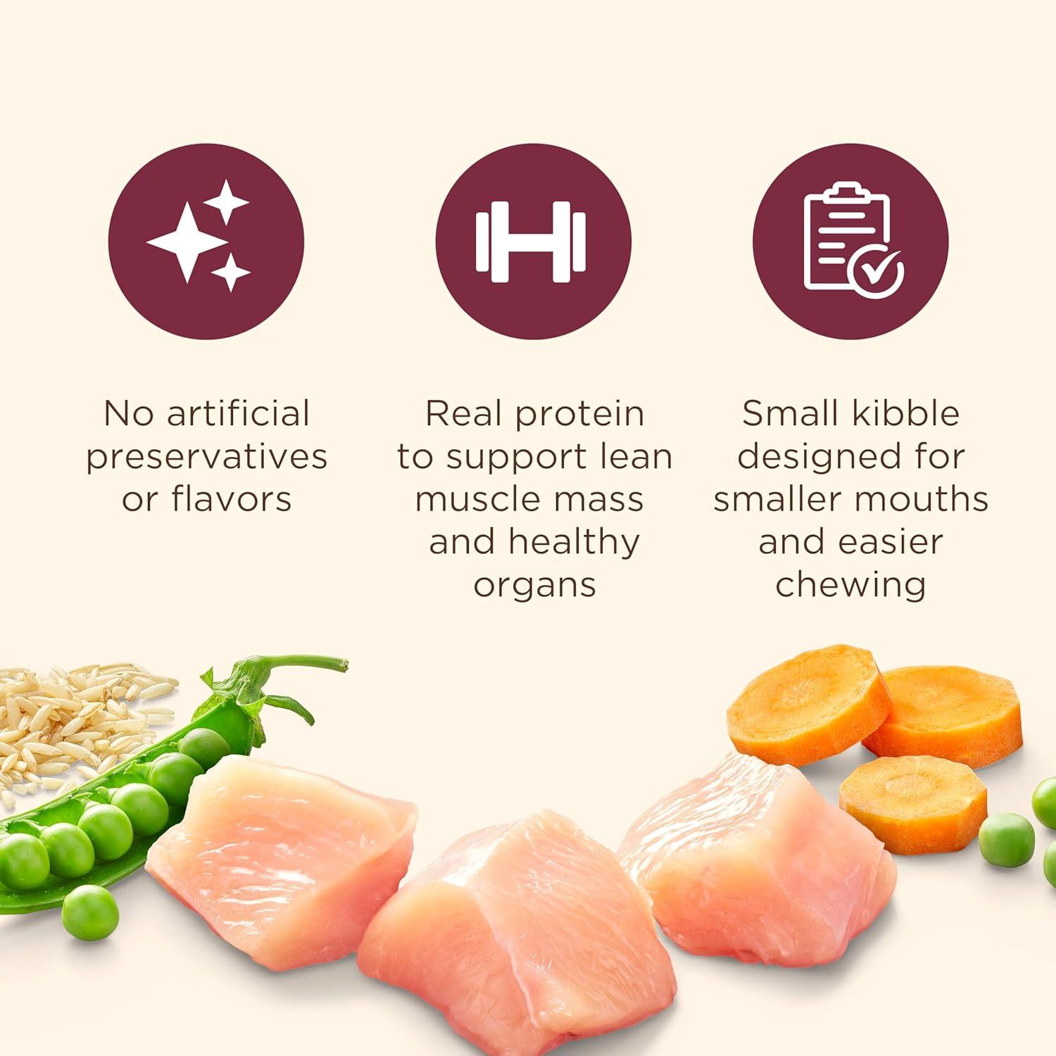 Why Our Small‍ Dogs Thrive on This Real Chicken Recipe