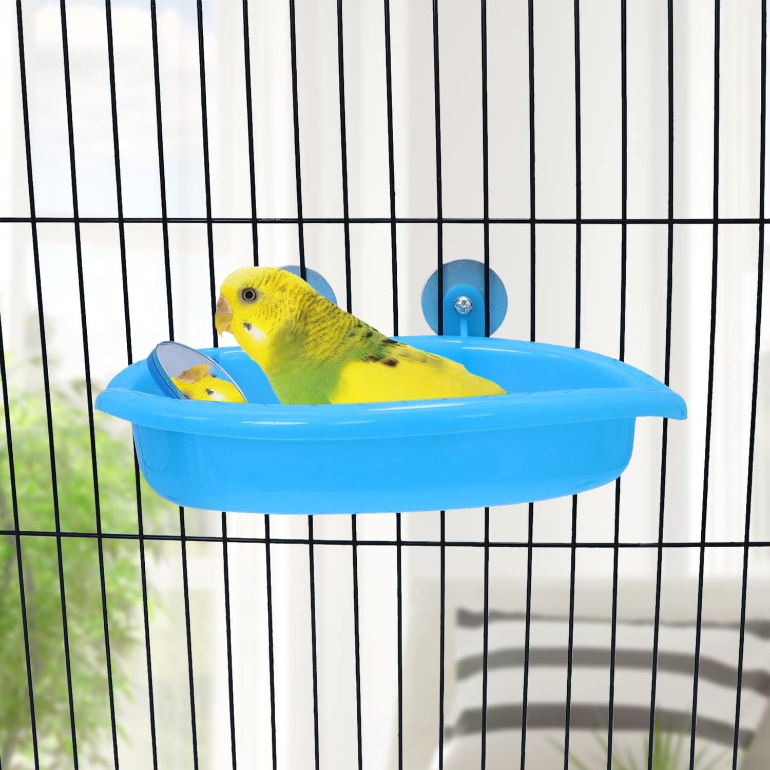 How Our Feathered Friends Enjoy Splash Time with This Clever Bird Bath