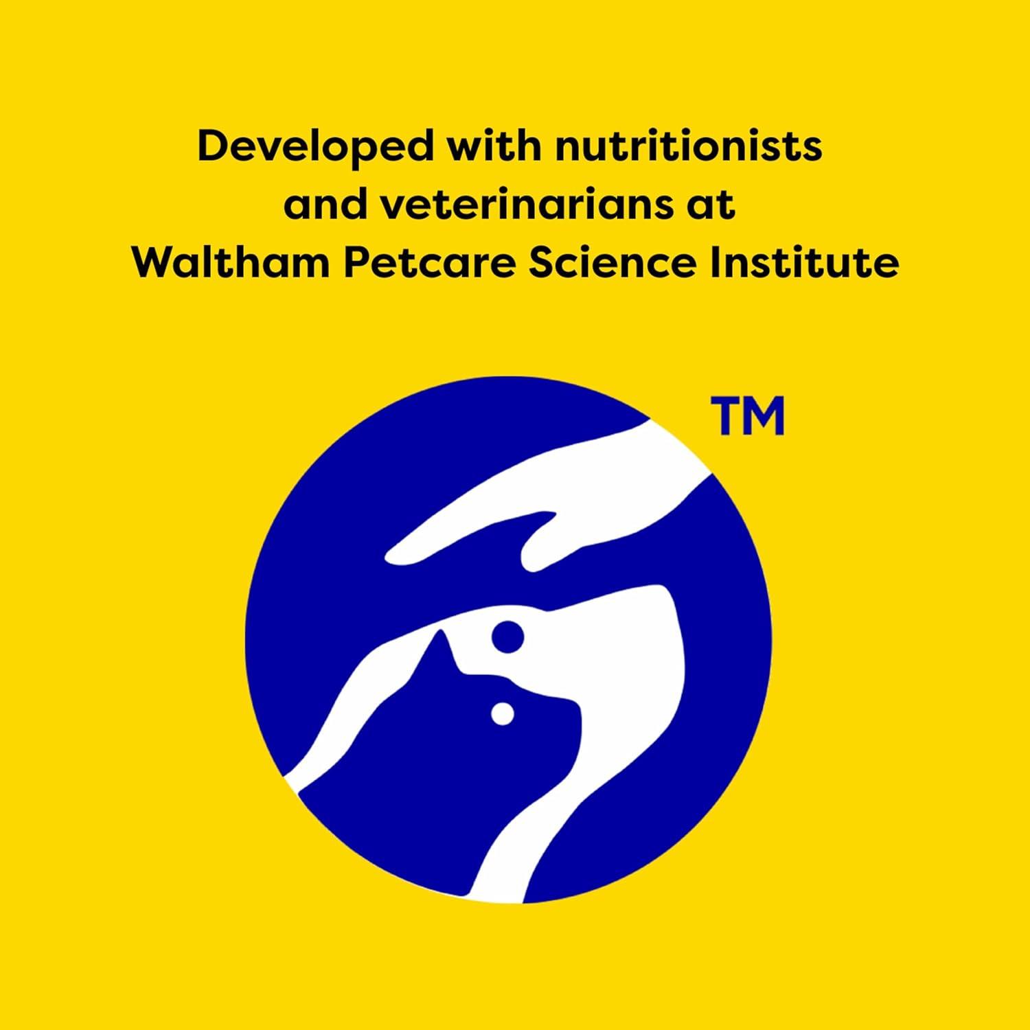 Why Our Cats Can’t Resist These Low-Calorie Shrimp Treats