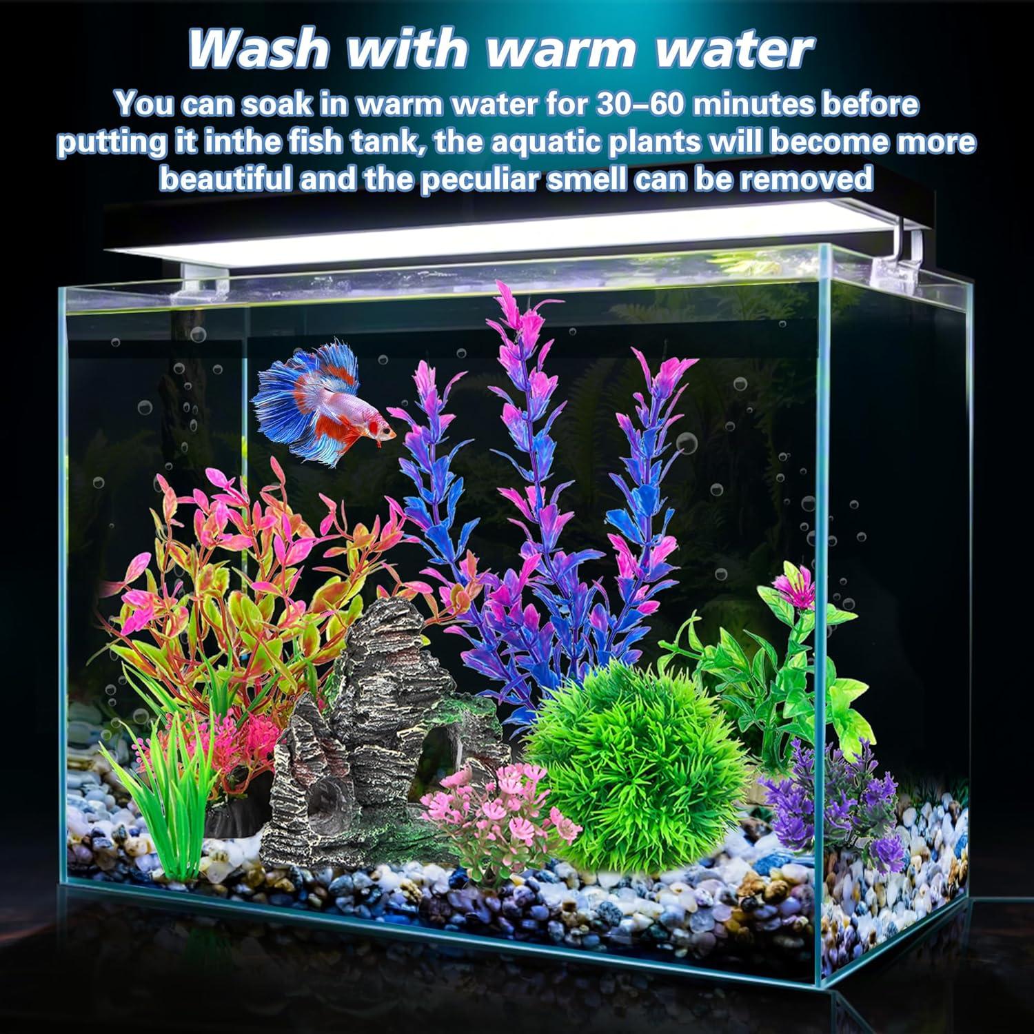 How We Transformed Our Tank Into a ‌Lively⁢ Underwater Haven