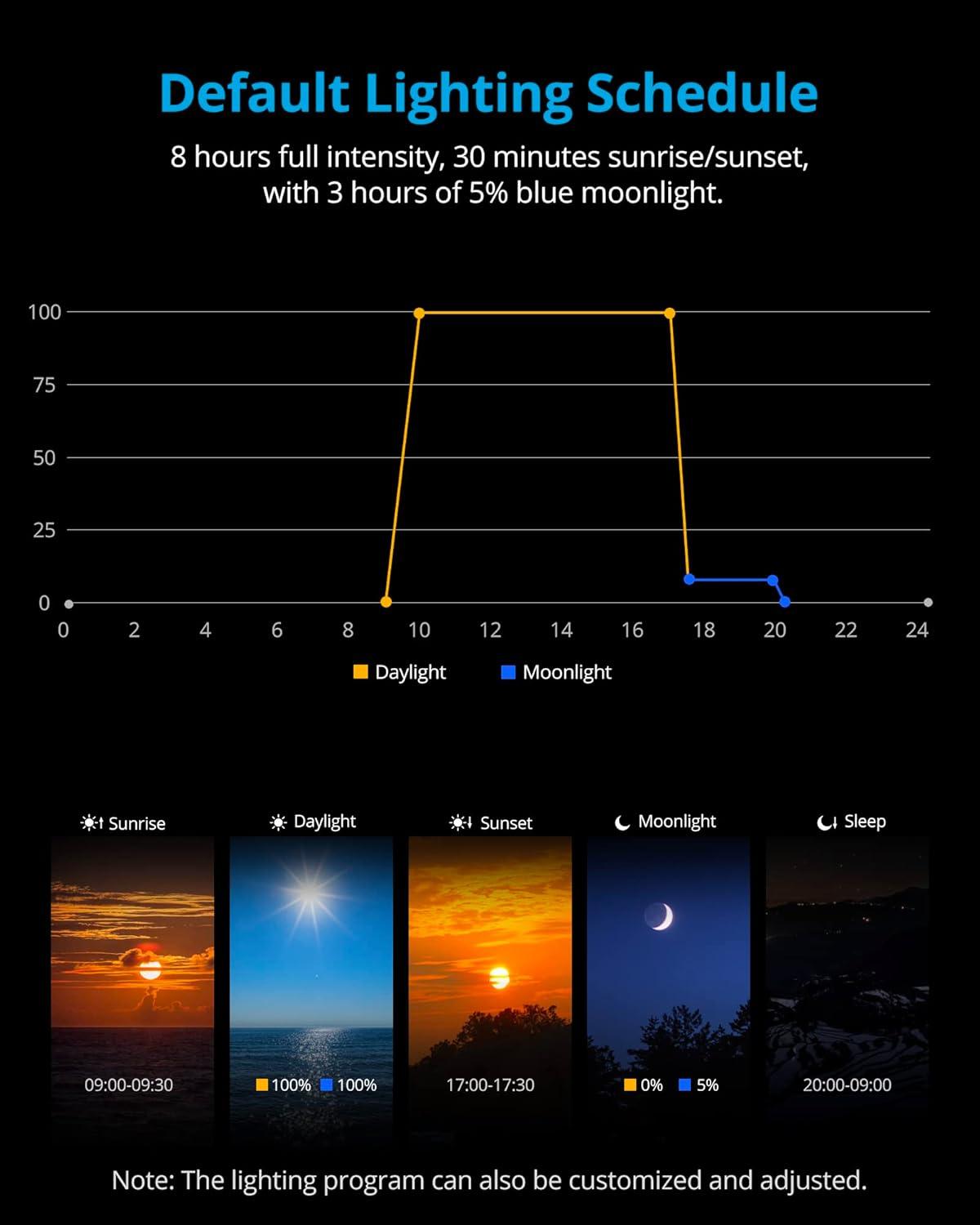 How We Elevated Our Aquascape with Nature’s Light Simulator