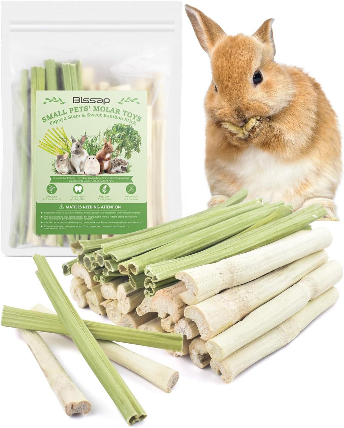 How We Keep Our Small Pets Happy and Healthy with ⁤Natural Chews