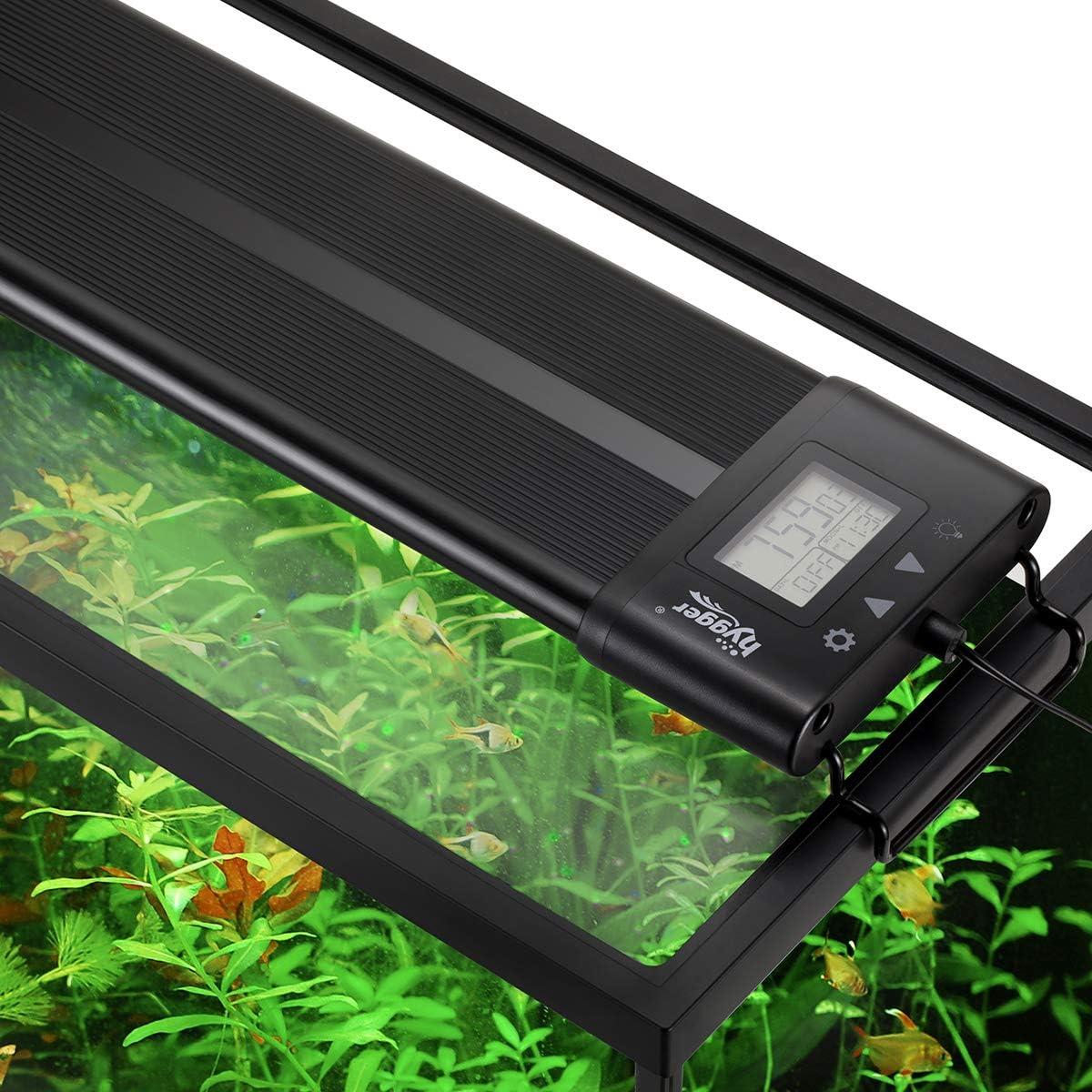 Top⁣ Aquarium LED Lights for⁢ Every Tank: Bright, Colorful & Customizable