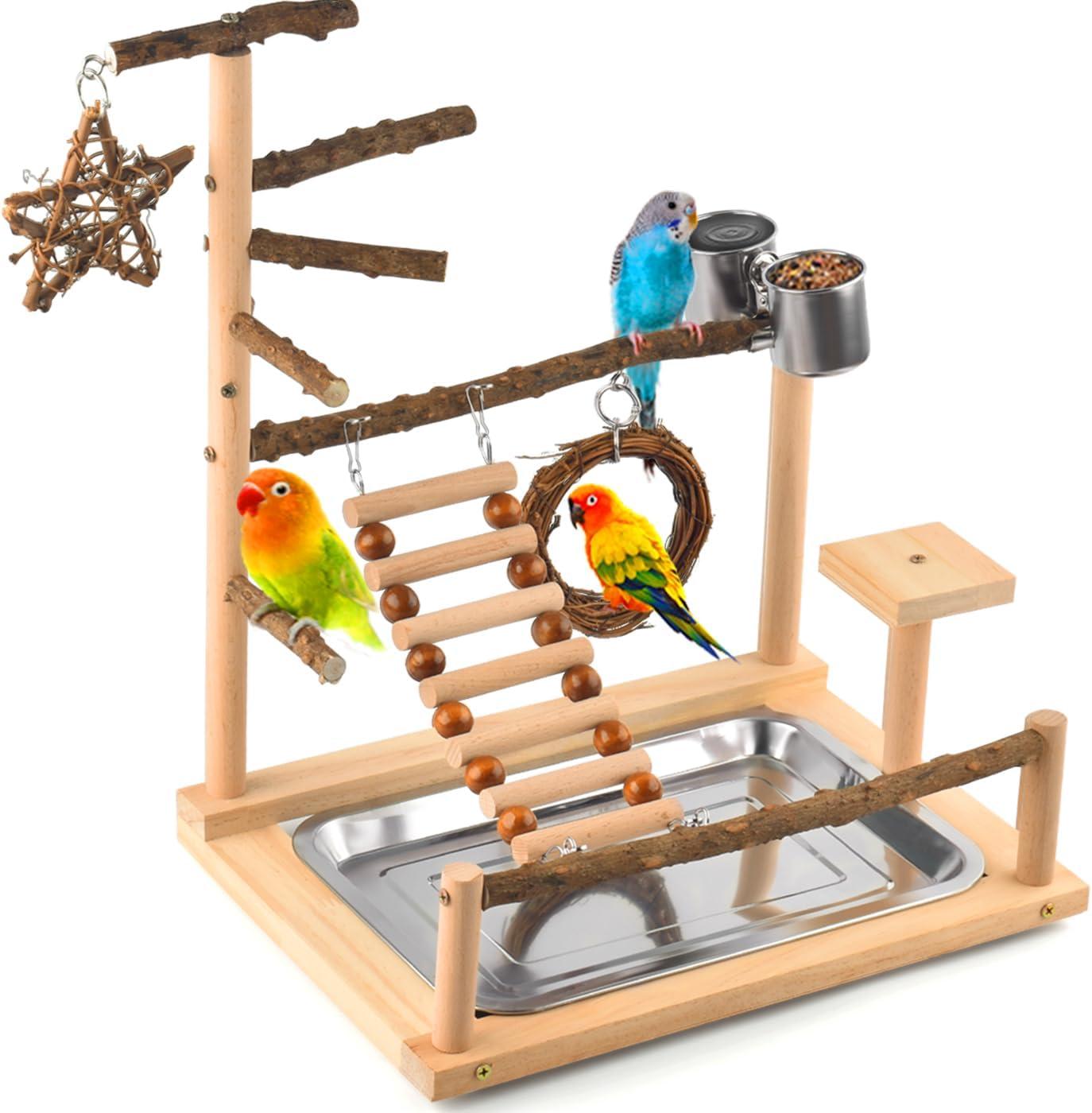 Top Bird Toys for Parakeets,Conures & ‍Small to Medium Birds