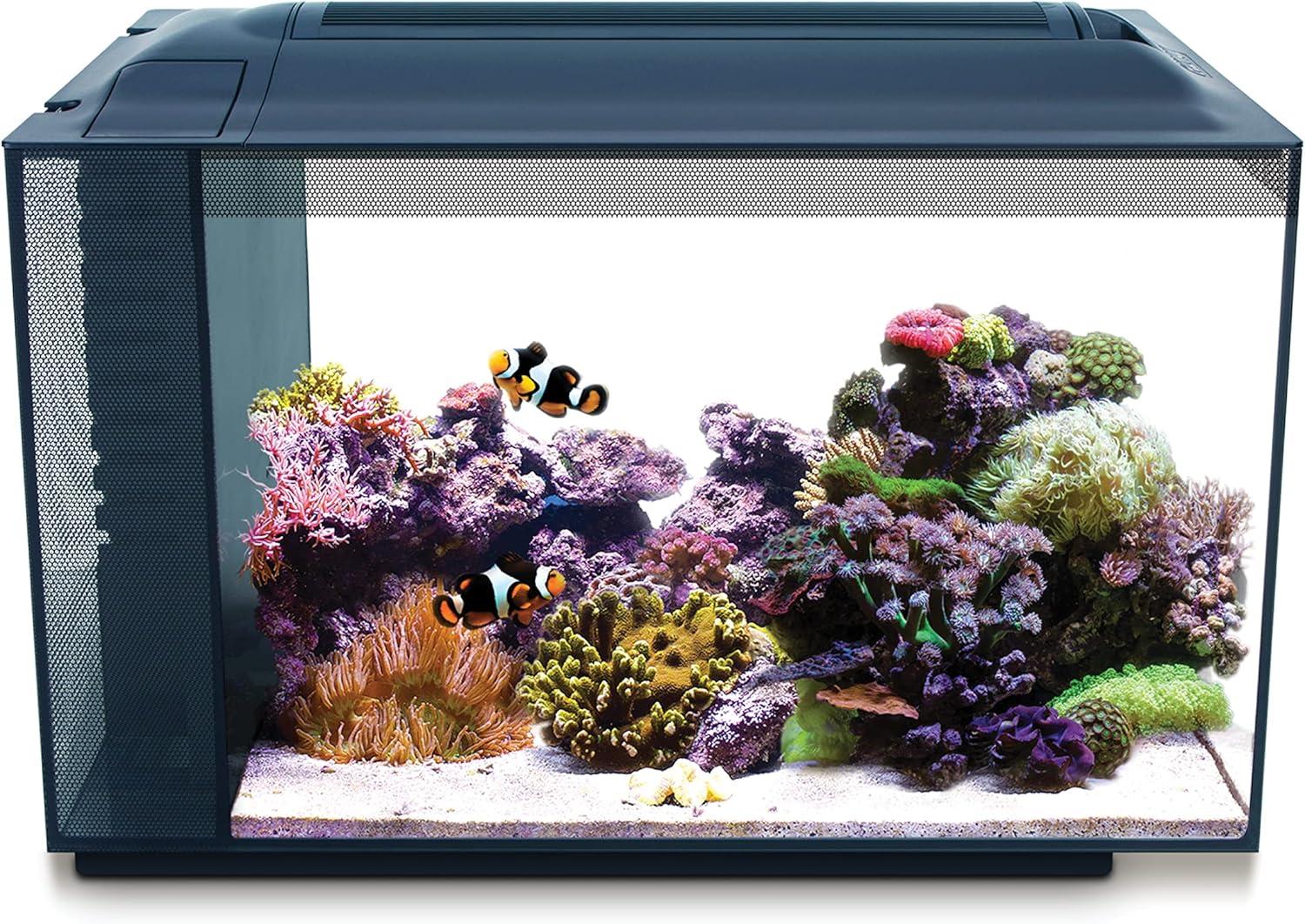 Top Aquarium Gear: Tanks, Lights, Filtration & More Reviewed