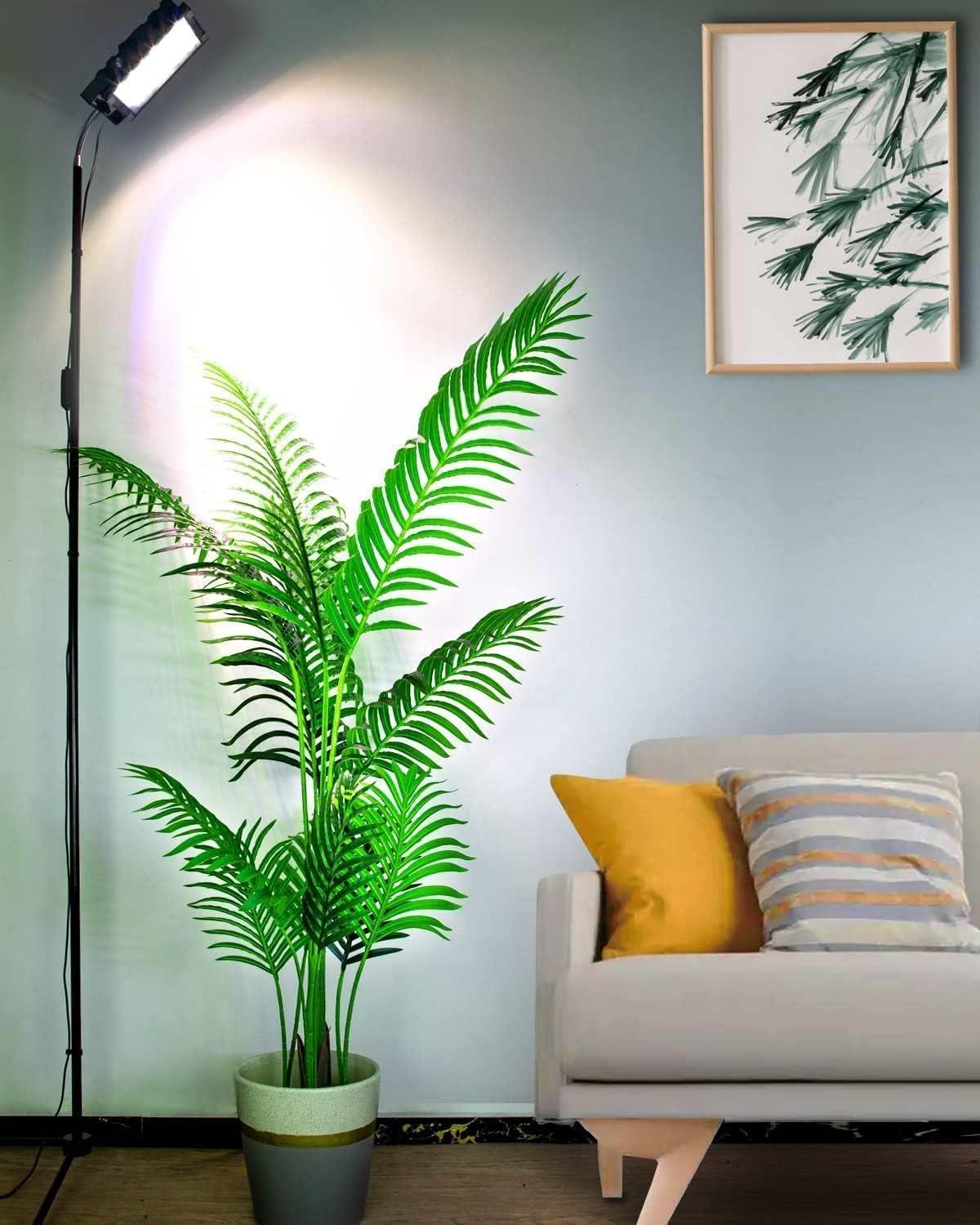 Top Aquarium Care Essentials: Best Cleaning & Stress Relief Picks