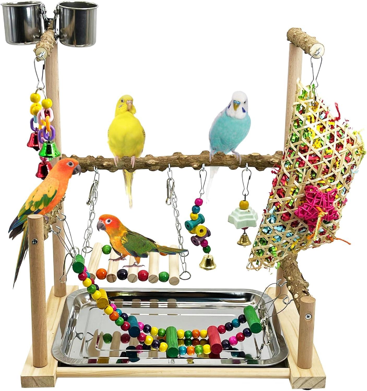 Top bird Toys for Parakeets, Conures & Small to Medium Birds